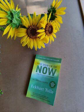 The Power of Now Eckhart Tolle NYT Bestseller Self-Help Mindfulness Paper Book